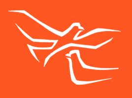 Logo della Fondazione Istituto San Nicolao